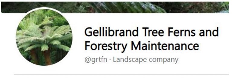 Gellibrand Tree & Fern